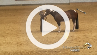 Play video